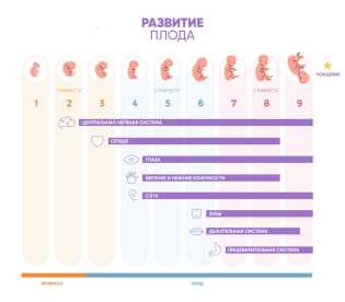 ПАМЯТКА ДЛЯ БЕРЕМЕННЫХ