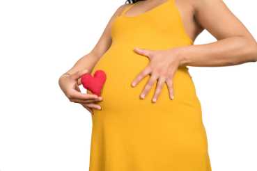Какие изменения происходят с сердечно-сосудистой системой во время беременности